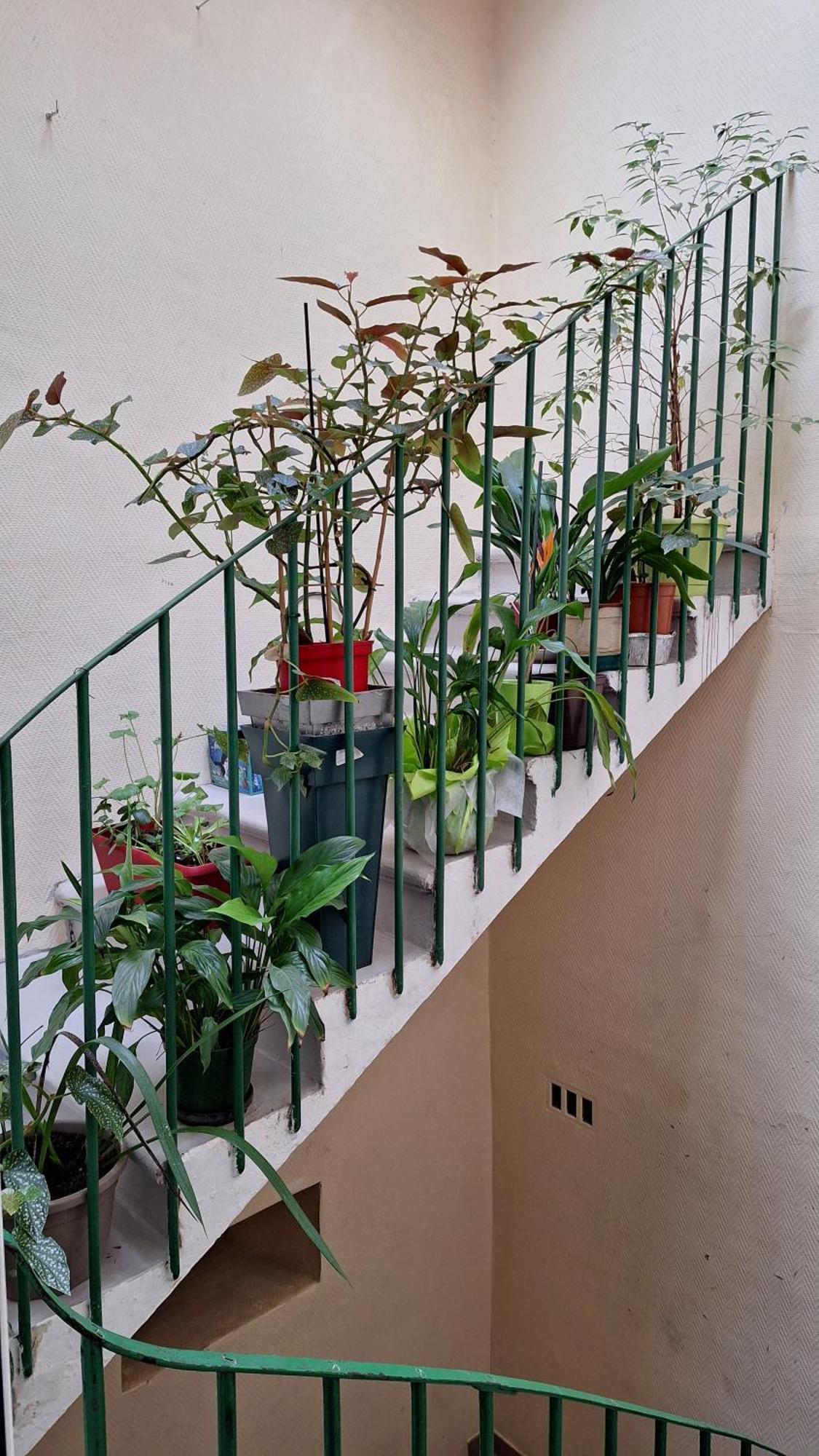 Vacance Et Cure Dans Duplex 80 M2 A Ceret 66400 Екстериор снимка
